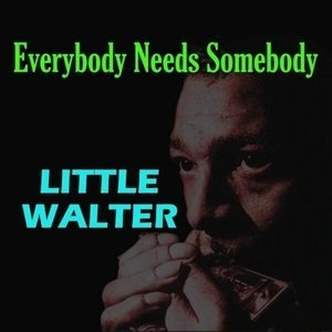 Everybody Needs Somebody