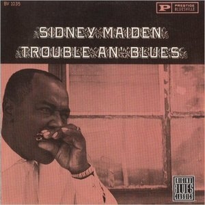 Trouble An Blues