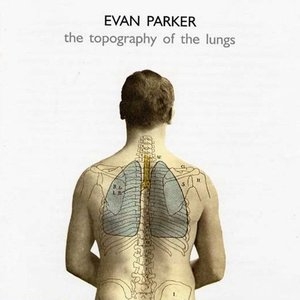 The Topography of the Lungs