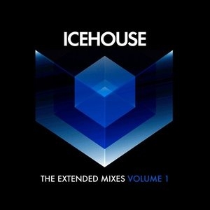 The Extended Mixes Vol. 1