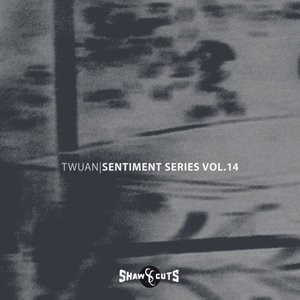 Sentiment Series Vol.14 - Remixed (Remixed)