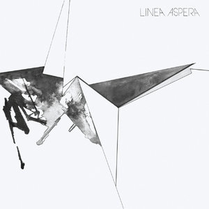  Linea Aspera