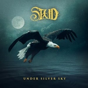 Under Silver Sky