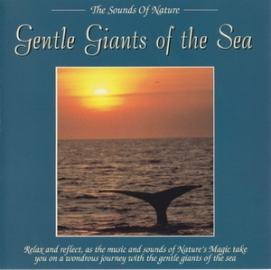 Gentle Giants Of The Sea
