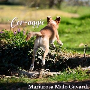 Cor-aggio