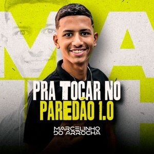 Pra Tocar no Paredao 1.0