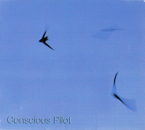 Conscious Pilot