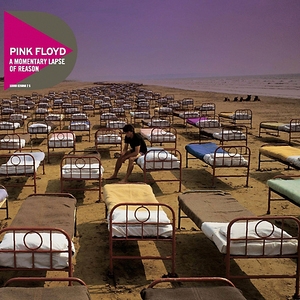 A Momentary Lapse Of Reason