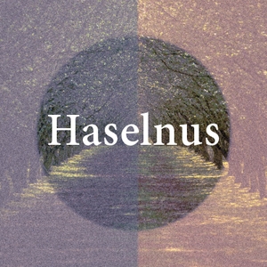 Haselnus EP