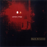 David Sylvian & Robert Fripp - Damage (remastered 2000) '1994 - Album