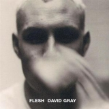 David Gray - Flesh '1994 - Album