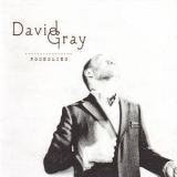 David Gray - Foundling (2CD) '2010 - Album