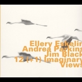 Ellery Eskelin With Andrea Parkins & Jim Black - 12 (+1) Imaginary Views '2002