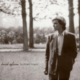 David Sylvian - Brilliant Trees '1984