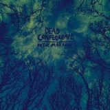 Dead Confederate - In The Marrow '2013 - Album