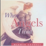 Medwyn Goodall - Where Angels Tread '1996