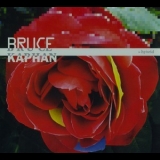 Bruce Kaphan - Hybrid '2009