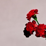 John Legend - Love In The Future '2013 - Album