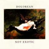 Dolorean - Not Exotic '2003