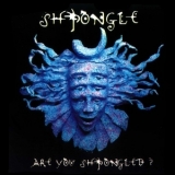 Shpongle - Are You Shpongled? '1998