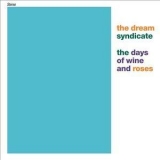 The Dream Syndicate - The Days Of Wine And Roses '1982