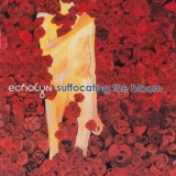 Echolyn - Suffocating The Bloom '1992