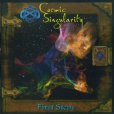Cosmic Singularity - First Steps '2010