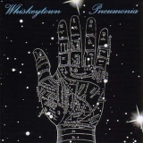 Whiskeytown - Pneumonia '2001