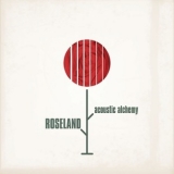 Acoustic Alchemy - Roseland '2011