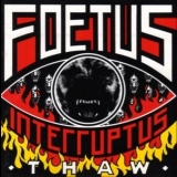 Foetus Interruptus - Thaw '1988