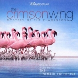 The Cinematic Orchestra - The Crimson Wing ~ Mystery Of The Flamingos '2008