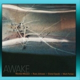 Nicolas Masson - Awake '2002