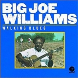 Big Joe Williams - Walking Blues '1961