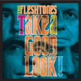 The Fleshtones - Take A Good Look! '2008