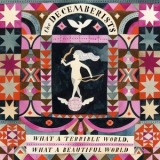 The Decemberists - What A Terrible World, What A Beautiful World '2015