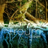 Troum - Syzygie '2013