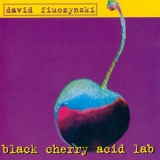 David 'Fuze' Fiuczynski - Black Cherry Acid Lab '2002