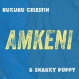 Bukuru Celestin & Snarky Puppy - Amkeni '2013