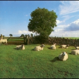 The Klf - Chill Out '1990 - Album