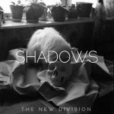 The New Division - Shadows '2011