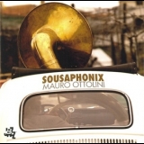 Mauro Ottolini - Sousaphonix '2009