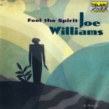 Joe Williams - Feel The Spirit '1995
