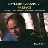 Dave Stryker Quintet - Passage '1993