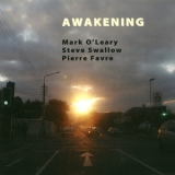 Mark O'leary - Awakening '2006