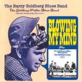 The Barry Goldberg Blues Band - 1965-66 (blowing My Mind Plus) '2003