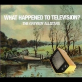The Greyboy Allstars - What Happened To Television '2007