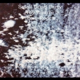 Small Cruel Party - Small Cruel Party, Toy Bizarre, Steve Roden '1999