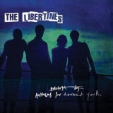 The Libertines - Anthems For Doomed Youth '2015