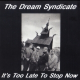 The Dream Syndicate - It's Too Late To Stop Now '1989