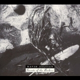 David Sylvian - Secrets Of The Beehive '1987